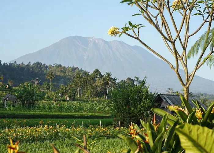 The Kubu Bali View