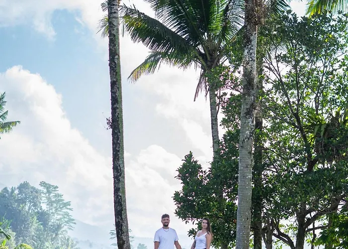 Privatunterkunft The Kubu Bali View Sidemen (Bali)